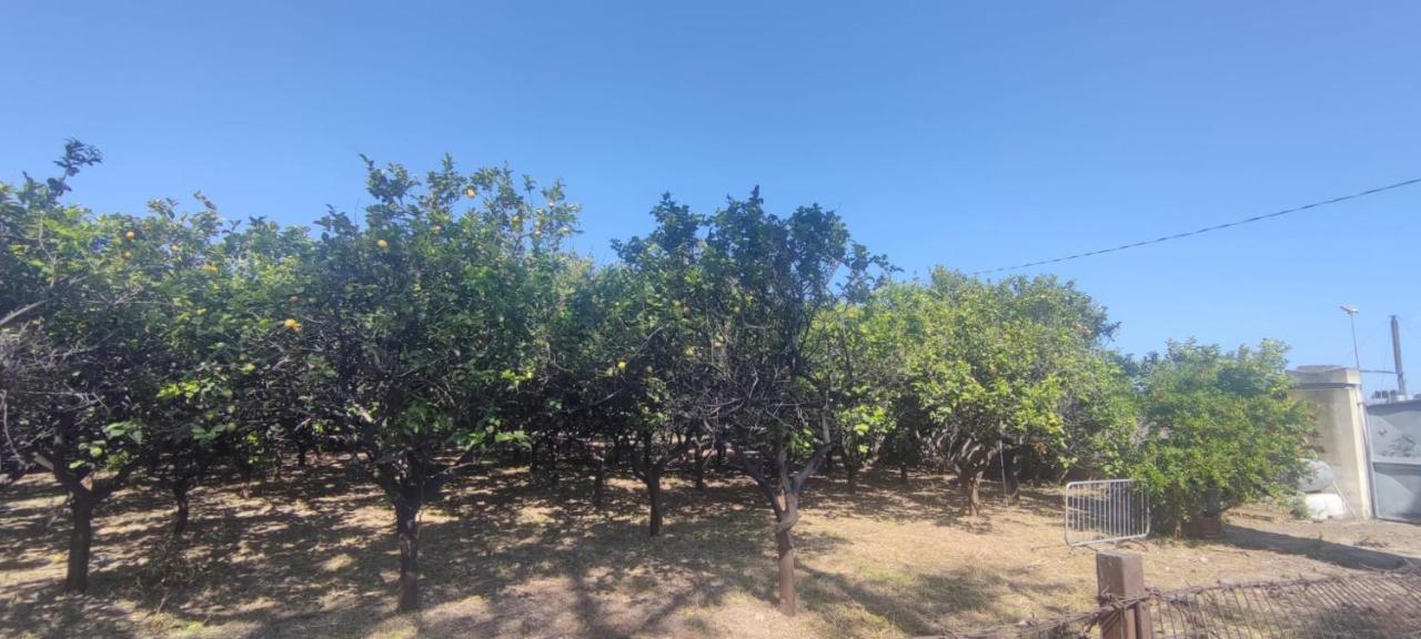 Villa Rospi Bari Dış mekan fotoğraf